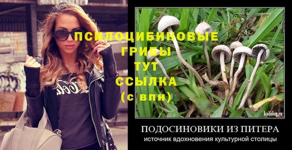 индика Кодинск