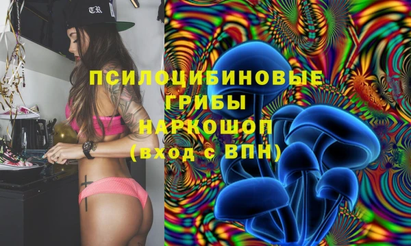 прущая мука Кинешма