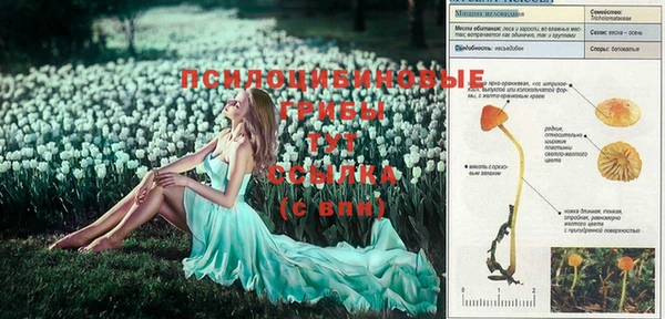 прущая мука Кинешма