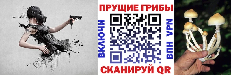 Псилоцибиновые грибы MAGIC MUSHROOMS Купить Катайск