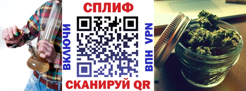 Бошки марихуана THC 21%  Купить где  Катайск 